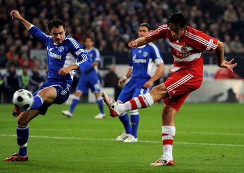 的专业人士 的专业人士